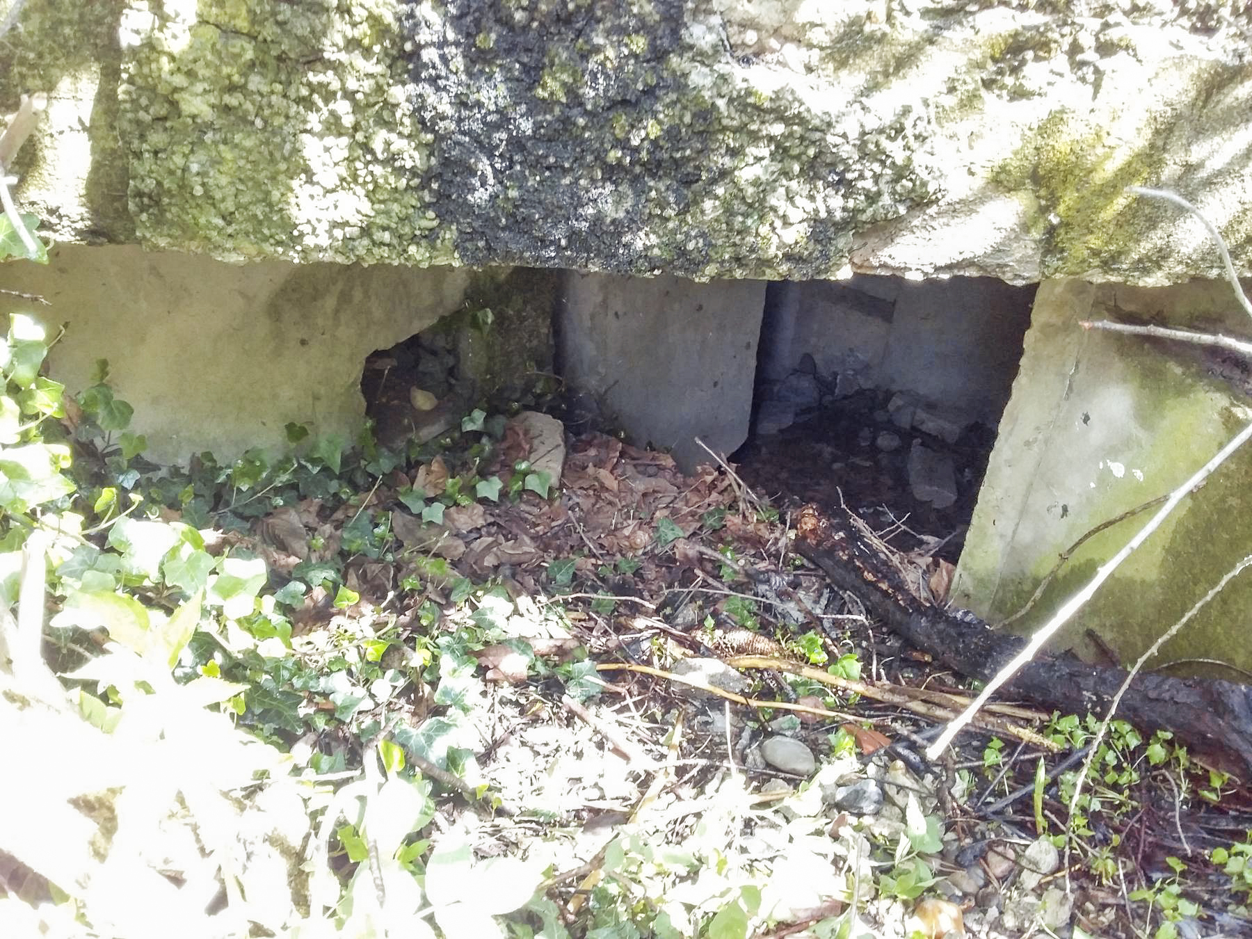 Ligne Maginot - 41C/3 - BLEINFELD SUD - (Blockhaus pour arme infanterie) - Entrée sud-ouest - Joel Muntzinger