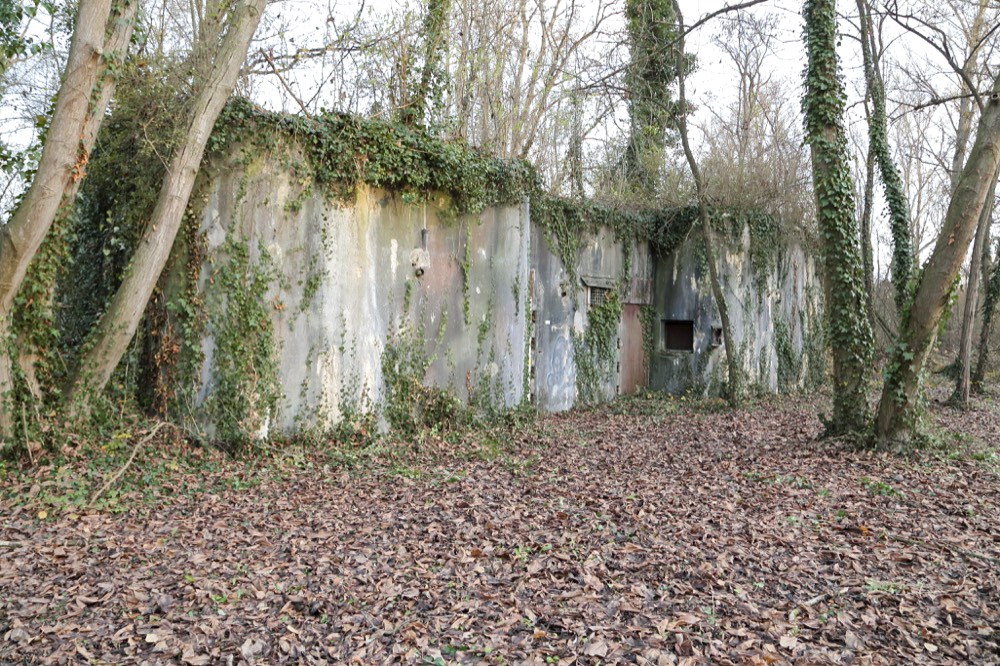 Ligne Maginot - 21/2 - CIMETIERE DES JUIFS - (Abri) - Vue générale - Inconnu