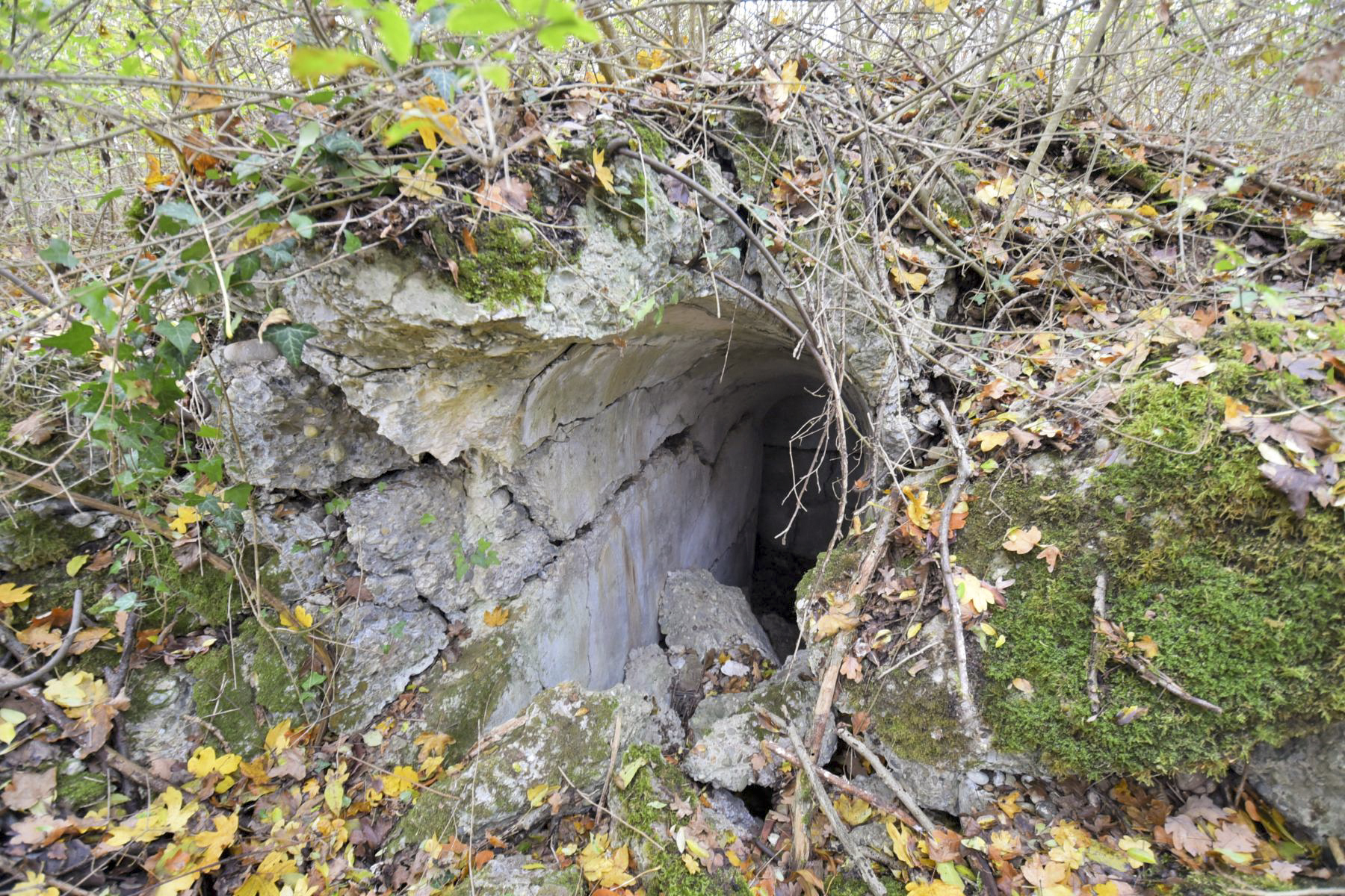 Ligne Maginot - WOLFGANTZEN NORD OUEST 4 - (Blockhaus pour arme infanterie) -  - Ludovic KNAPP