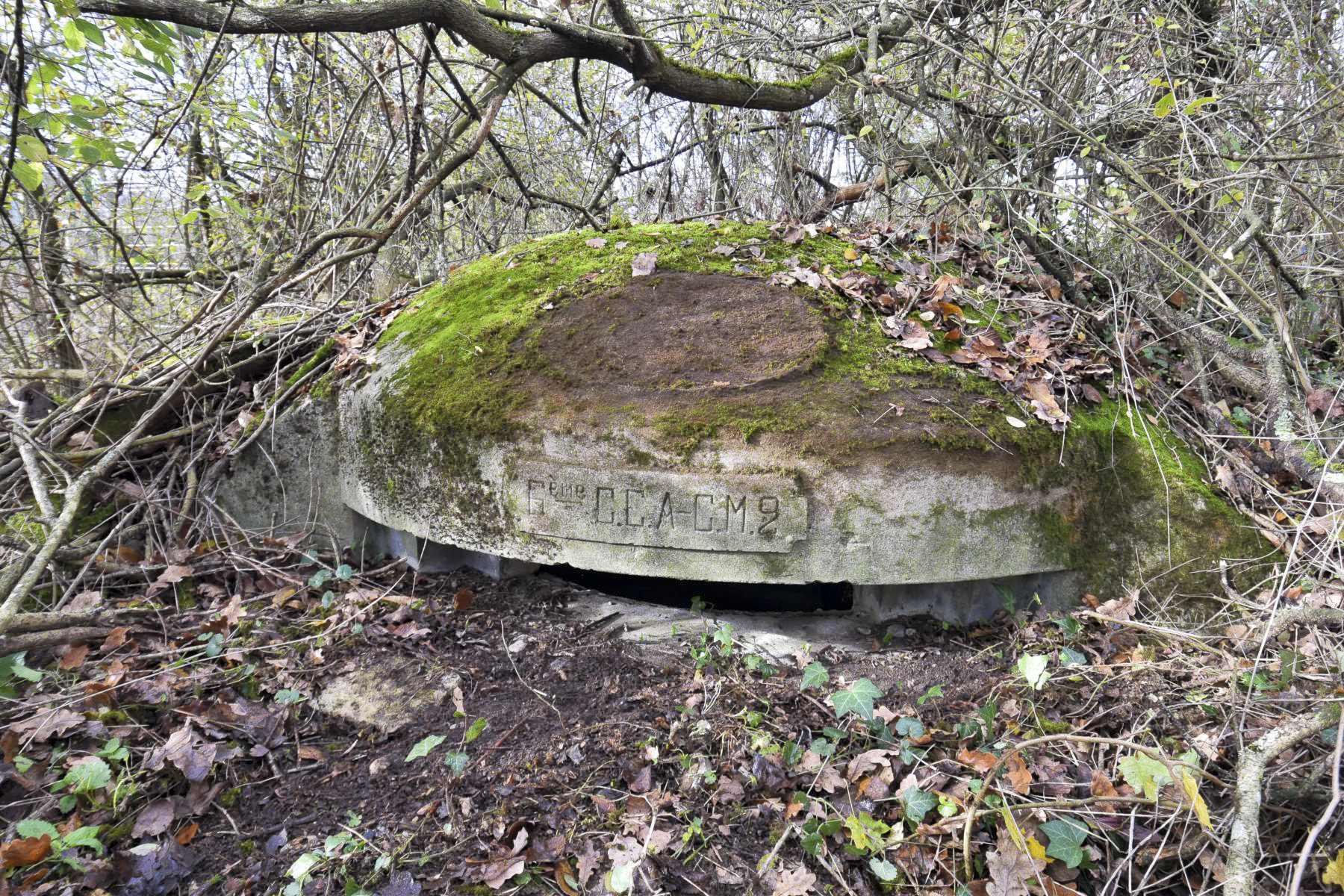 Ligne Maginot - WOLFGANTZEN NORD OUEST 1 - (Blockhaus pour arme infanterie) -  - Ludovic KNAPP