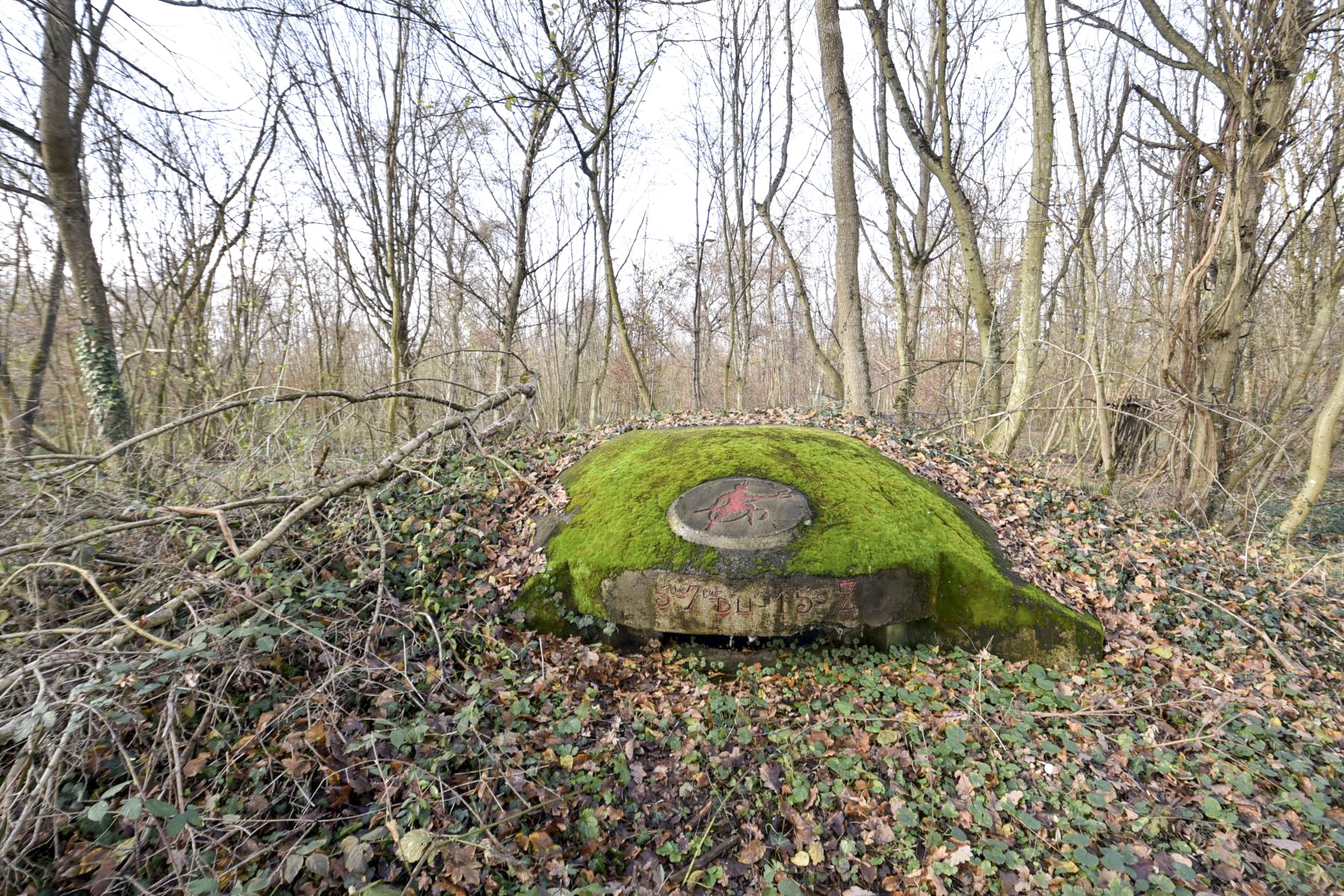Ligne Maginot - OBERWALD EST NORD - (Blockhaus pour arme infanterie) -  - Ludovic KNAPP