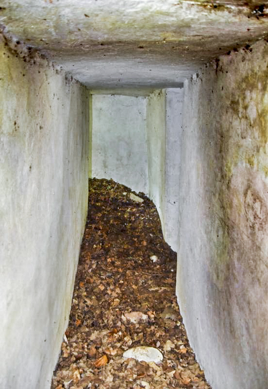 Ligne Maginot - OBERWALD EST CENTRE - (Blockhaus pour arme infanterie) - Couloir entre les deux entrées, A droite l'accès à la coupole - Daniel Froehly