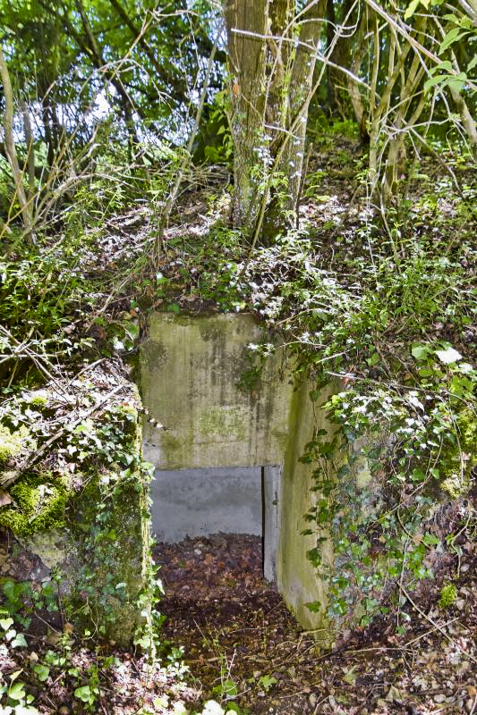 Ligne Maginot - OBERWALD EST CENTRE - (Blockhaus pour arme infanterie) - Entrée nord/ouest - Daniel Froehly