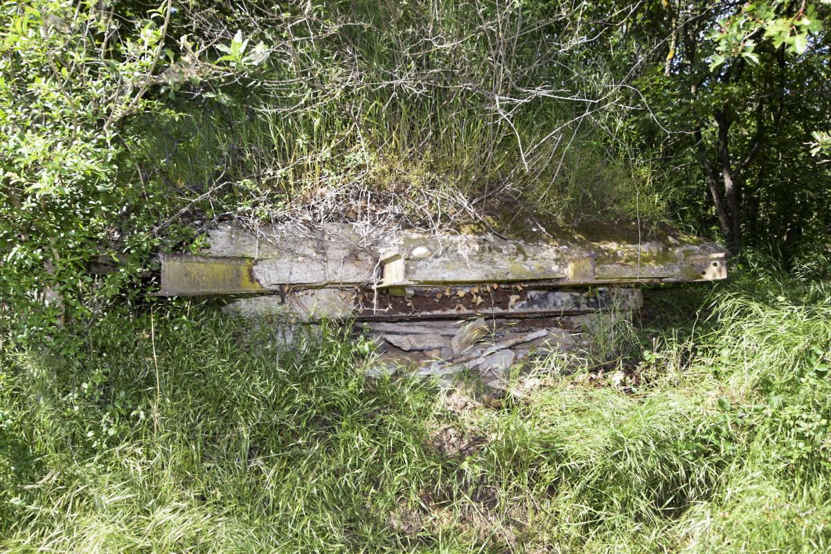Ligne Maginot - OBERWALD SUD OUEST - (Observatoire d'infanterie) - Créneau d'observation sud - Daniel Froehly