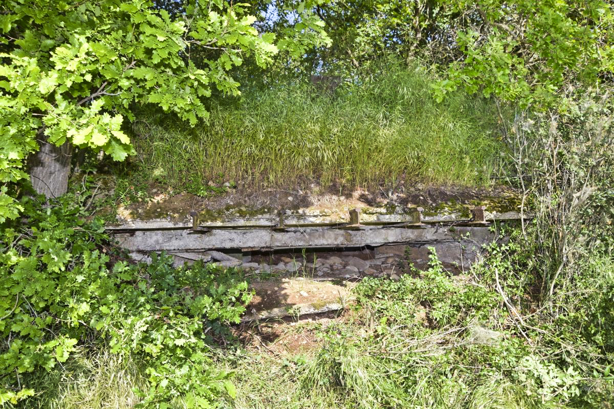 Ligne Maginot - OBERWALD SUD OUEST - (Observatoire d'infanterie) - Créneau d'observation ouest - Daniel Froehly