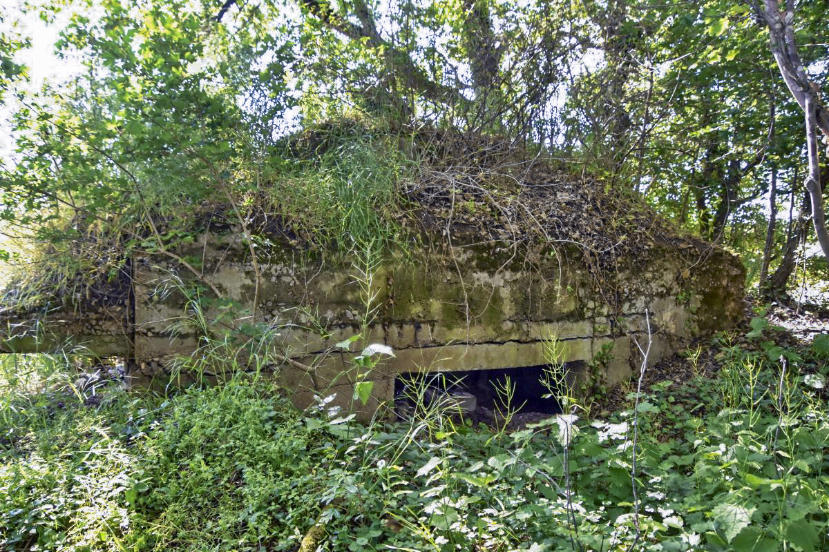 Ligne Maginot - OBERWALD SUD OUEST - (Observatoire d'infanterie) - Entrée : coté Est - Daniel Froehly