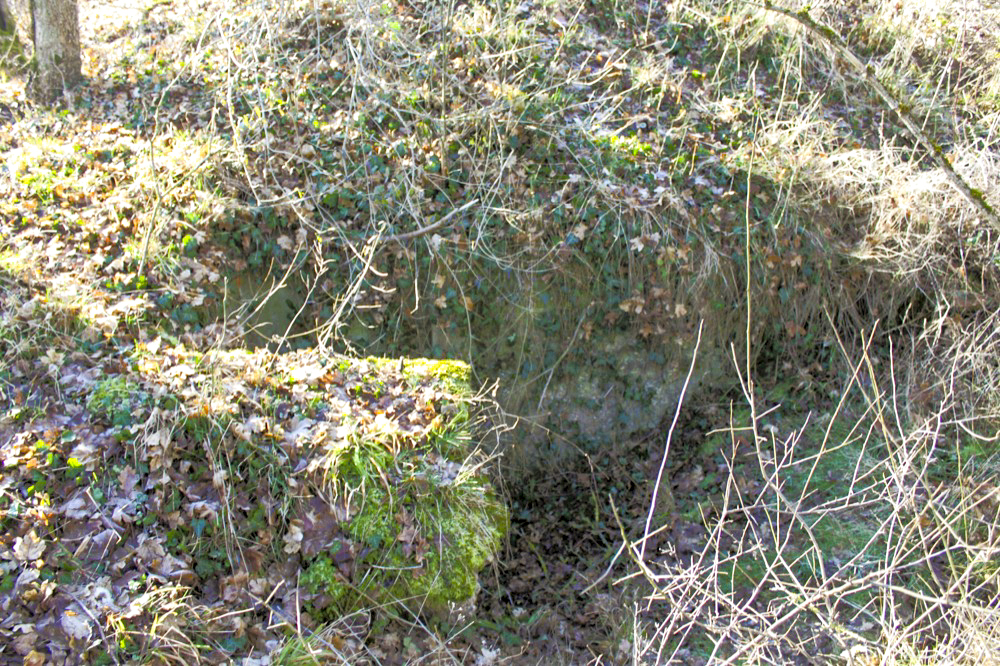 Ligne Maginot - OBERWALD SUD EST - (Blockhaus pour arme infanterie) - Vue générale extérieure - Les Gardiens du Rhin