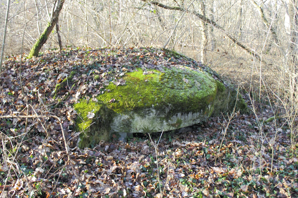 Ligne Maginot - OBERWALD SUD NORD-EST - (Blockhaus pour arme infanterie) - Vue générale extérieure - Les Gardiens du Rhin