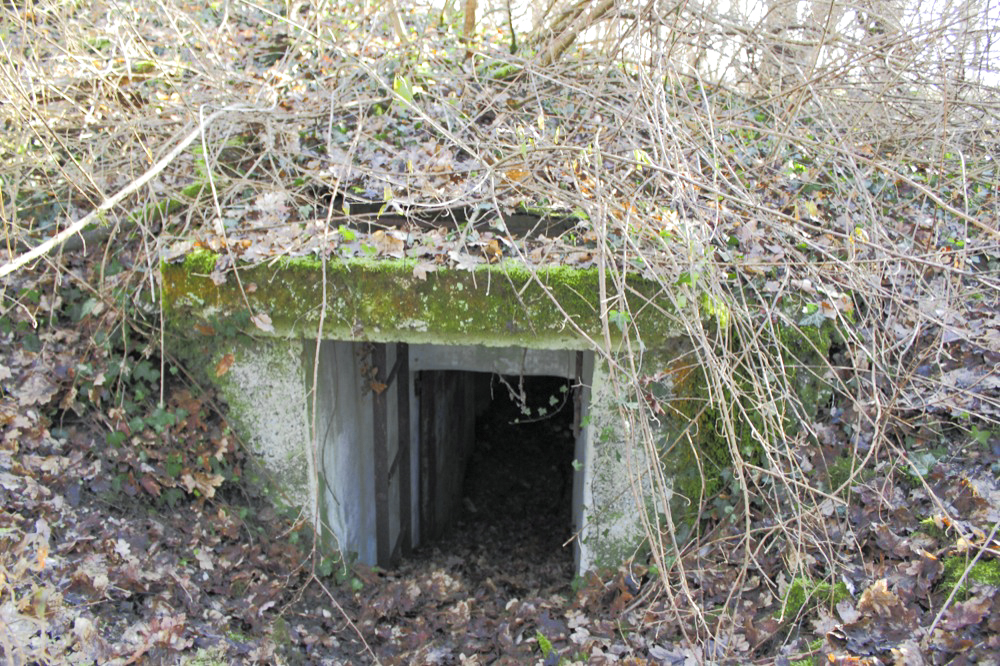 Ligne Maginot - OBERWALD SUD NORD-EST - (Blockhaus pour arme infanterie) - L'entrée avec sa trappe d'accès - Les Gardiens du Rhin