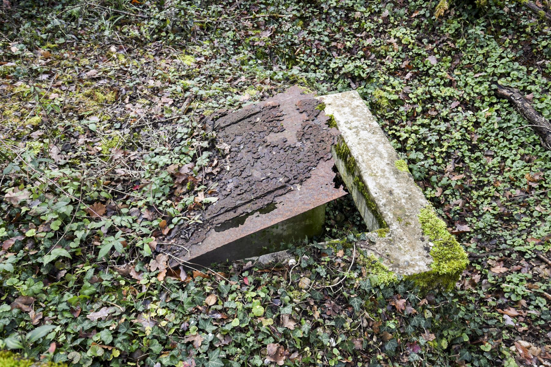 Ligne Maginot - OBERWALD SUD NORD-EST - (Blockhaus pour arme infanterie) -  - Ludovic KNAPP