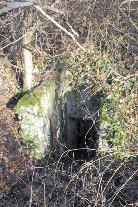 Ligne Maginot - OBERWALD SUD NORD-EST - (Blockhaus pour arme infanterie) - L'entrée avec sa trappe d'accès - Les Gardiens du Rhin