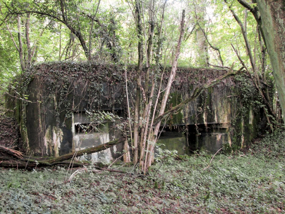 Ligne Maginot - CB2 - (Blockhaus pour canon) - Façade avant - Schnoupf