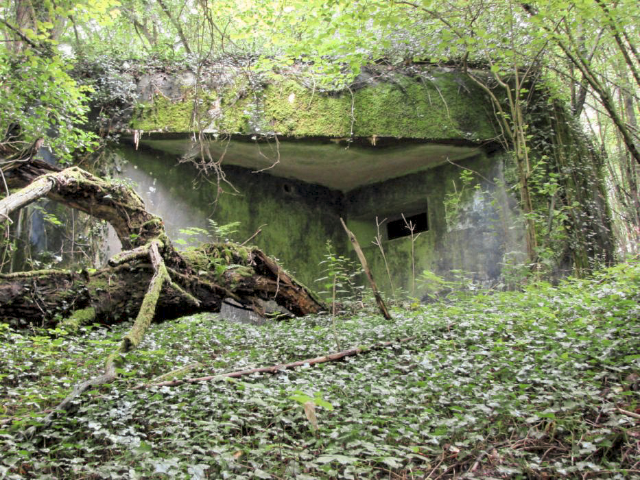 Ligne Maginot - CB2 - (Blockhaus pour canon) - Façade arrière - Schnoupf