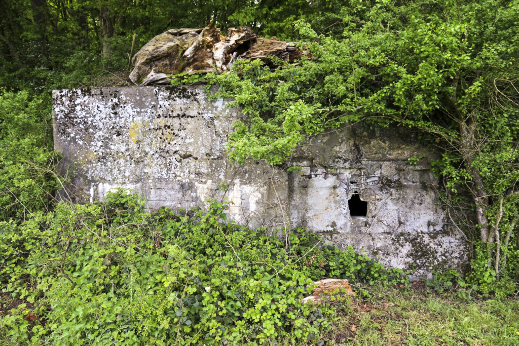 Ligne Maginot - CB431 - KLOSTERBUSCH 3 - (Blockhaus pour arme infanterie) - Entrée et créneau latéral - Alain Perouffe