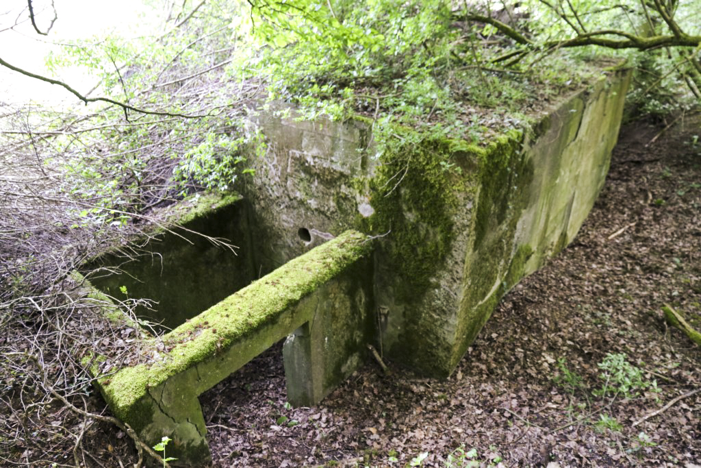 Ligne Maginot - CB431 - KLOSTERBUSCH 3 - (Blockhaus pour arme infanterie) -  - Alain Perouffe