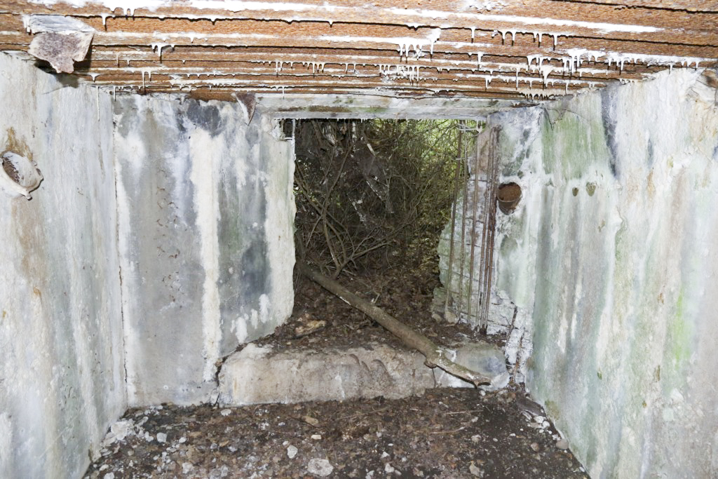 Ligne Maginot - CB431 - KLOSTERBUSCH 3 - (Blockhaus pour arme infanterie) -  - Alain Perouffe