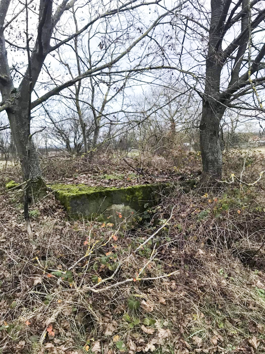 Ligne Maginot - AUENHEIM 3 - (Cuve pour canon) -  - Arthur Emmelin