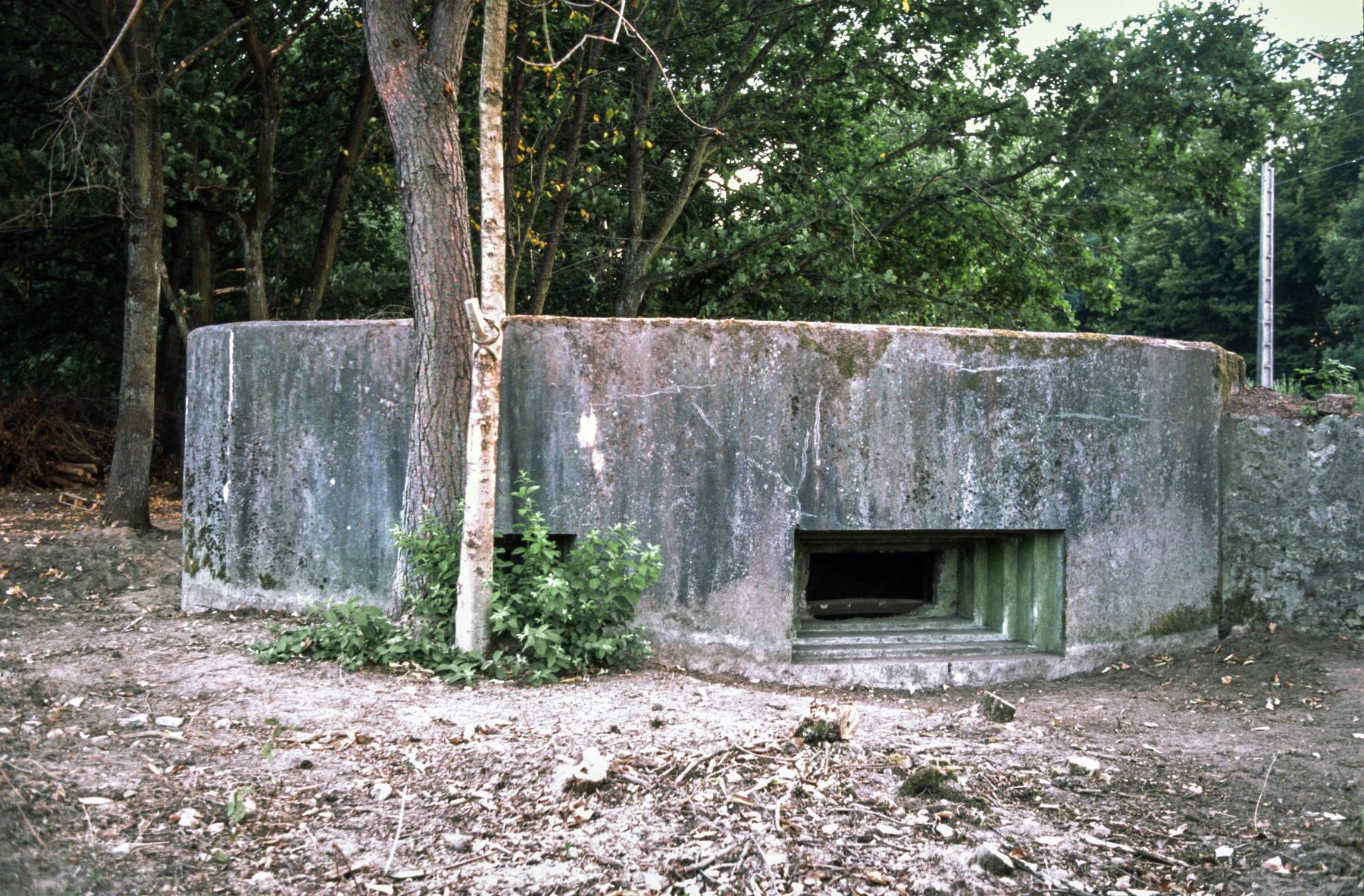 Ligne Maginot - ROUTE DE CARLING  (AVANT POSTE) - (Blockhaus pour arme infanterie) -  - MANSUY Michel