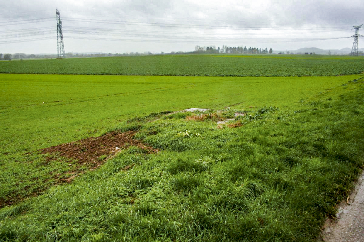 Ligne Maginot - 1T - (Chambre de coupure) - Vue en direction de blockhaus Hussinger Rain qui est caché par les arbres en arrière plan et entre les deux les lignes 400KV - jpr