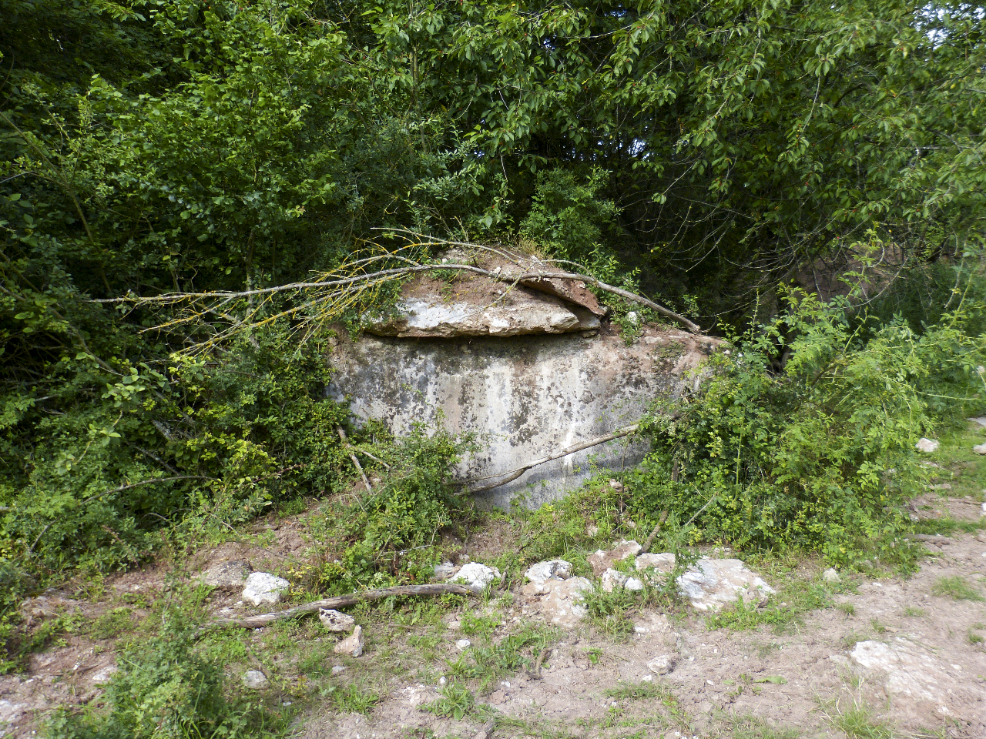 Ligne Maginot - 29M - (Chambre de coupure) -   - Aditus