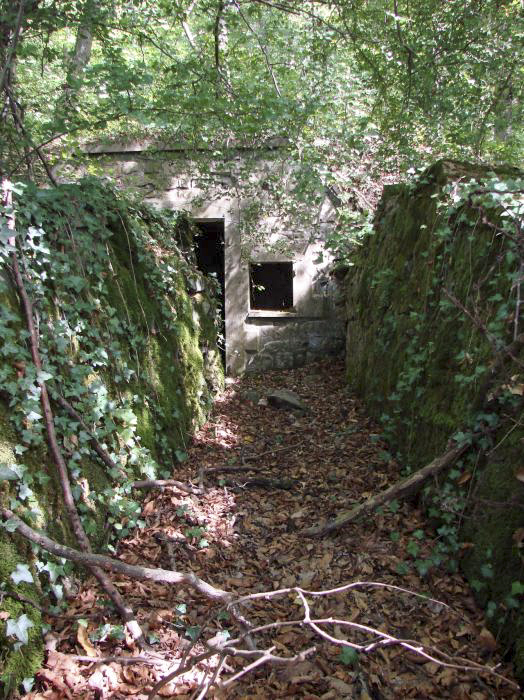 Ligne Maginot - BERGBUSCH (POSTE DE SECOURS DU 167° RIF) - (Poste de Secours) - Chemin d'accès. - Schnoupf