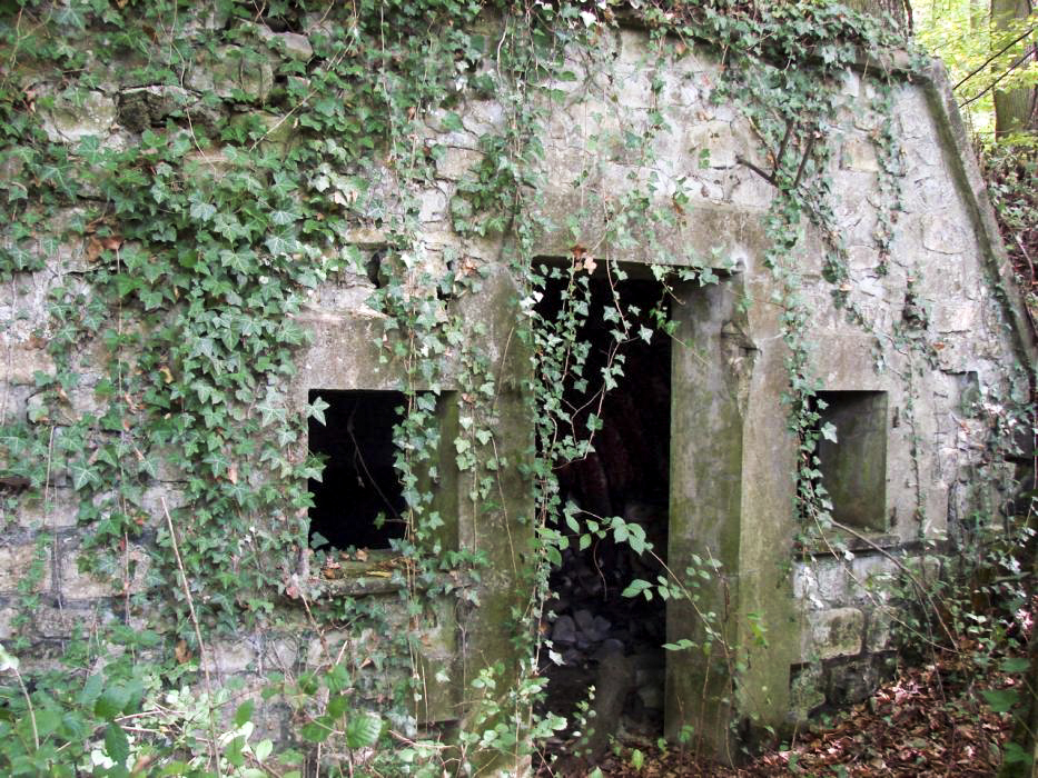 Ligne Maginot - BERGBUSCH (POSTE DE SECOURS DU 167° RIF) - (Poste de Secours) - Seconde alvéole. - Schnoupf