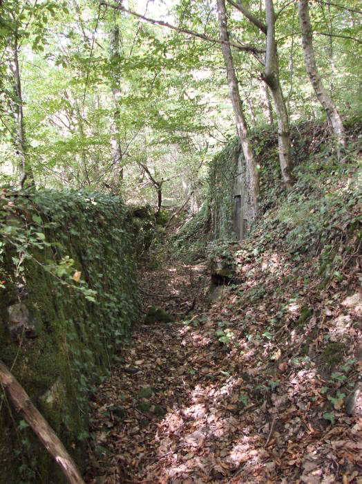 Ligne Maginot - BERGBUSCH (POSTE DE SECOURS DU 167° RIF) - (Poste de Secours) - Couloir desservant les alvéoles . - Schnoupf