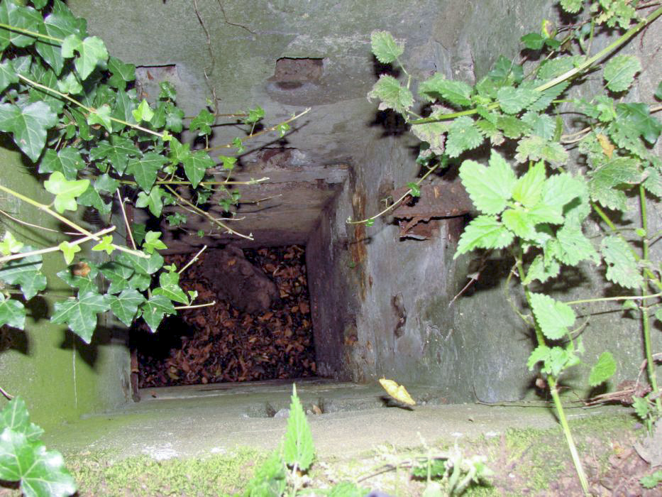 Ligne Maginot - CB2-D - (Observatoire indéterminé) - Premier poste d'observation. - Schnoupf