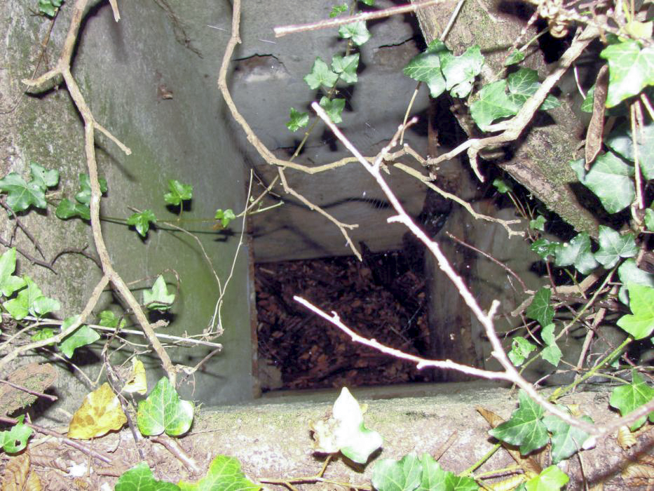 Ligne Maginot - CB2-D - (Observatoire indéterminé) - Second poste d'observation. - Schnoupf