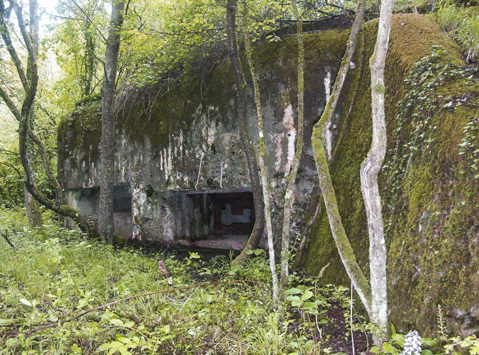 Ligne Maginot - CB3 - (Blockhaus pour canon) -  - Pascal LAMBERT