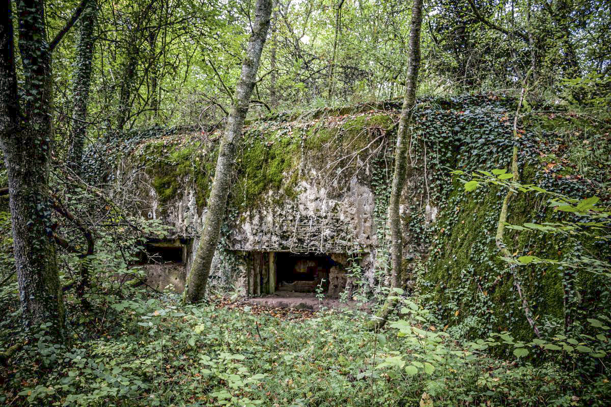 Ligne Maginot - CB3 - (Blockhaus pour canon) -  - Fré Do