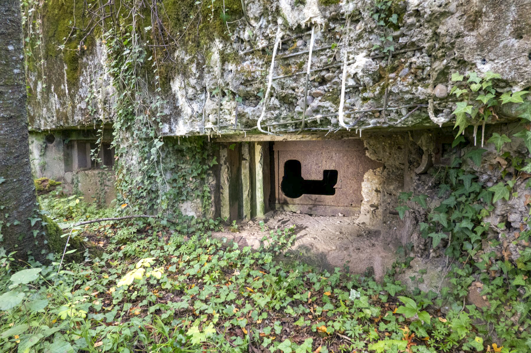 Ligne Maginot - CB3 - (Blockhaus pour canon) - Vue des deux créneaux - Michel Teiten