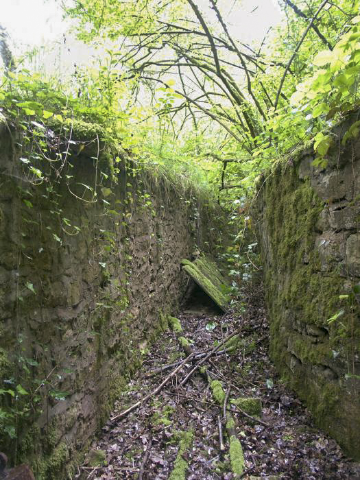 Ligne Maginot - CB3 - (Blockhaus pour canon) - La porte du blockhaus est visible - Pascal LAMBERT