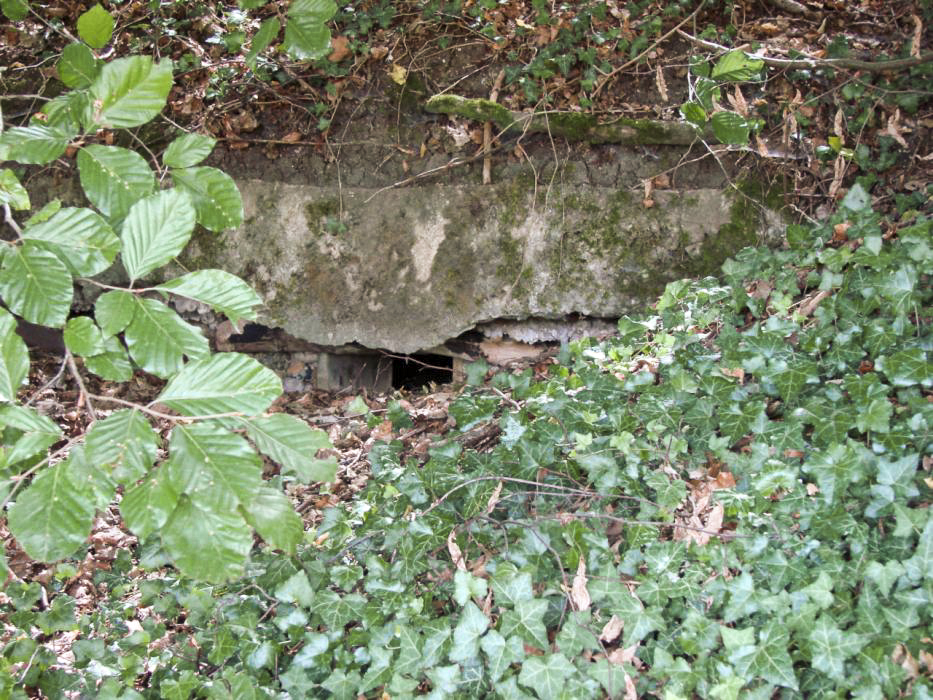 Ligne Maginot - CB103 - (Blockhaus pour canon) - Créneau de tir pour arme d'infanterie qui se trouve dans la partie 'vie'.
 Une branche et des planches, encore en place, ont été utilisées pour le coffrage. - Schnoupf