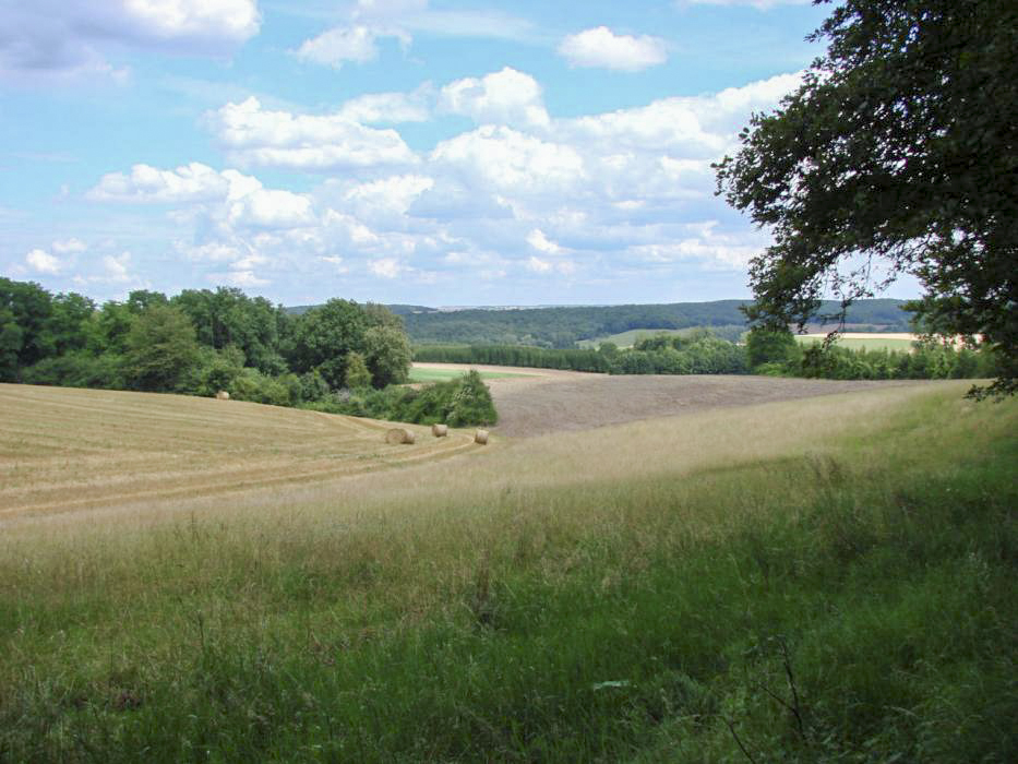 Ligne Maginot - CB103 - (Blockhaus pour canon) - Vue depuis le créneau du canon AC. - Schnoupf