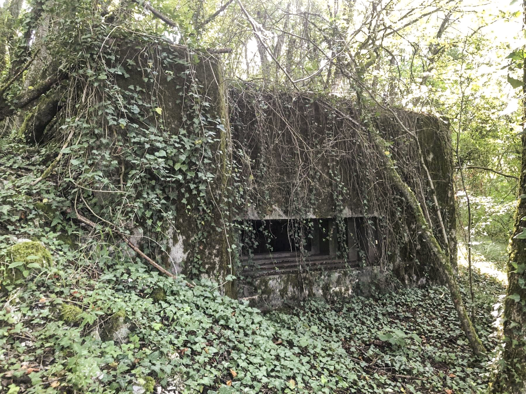 Ligne Maginot - CB114 - UBER DEM HUGEL - (Blockhaus pour canon) -  - L.Zenner