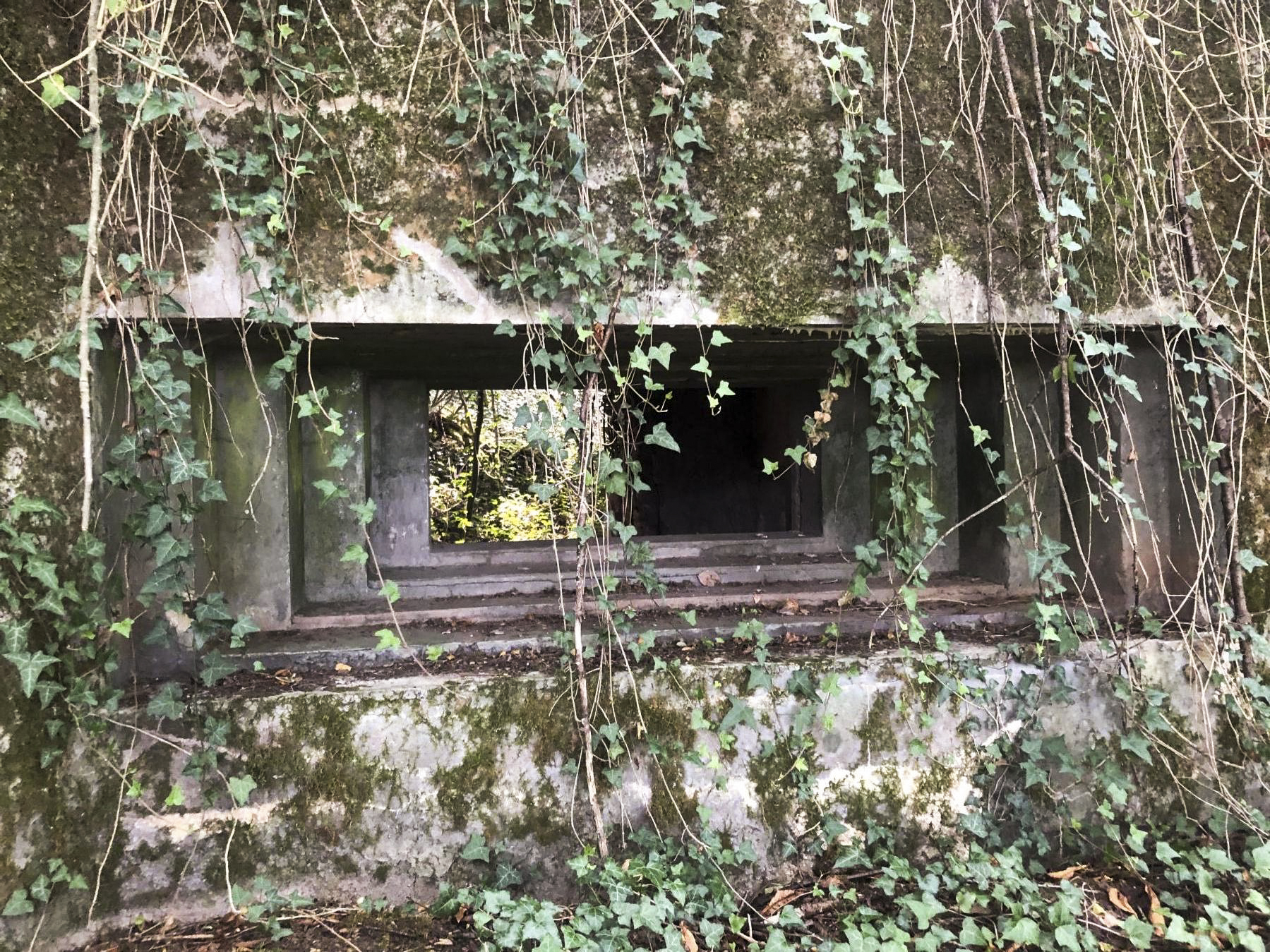 Ligne Maginot - CB114 - UBER DEM HUGEL - (Blockhaus pour canon) -  - L.Zenner