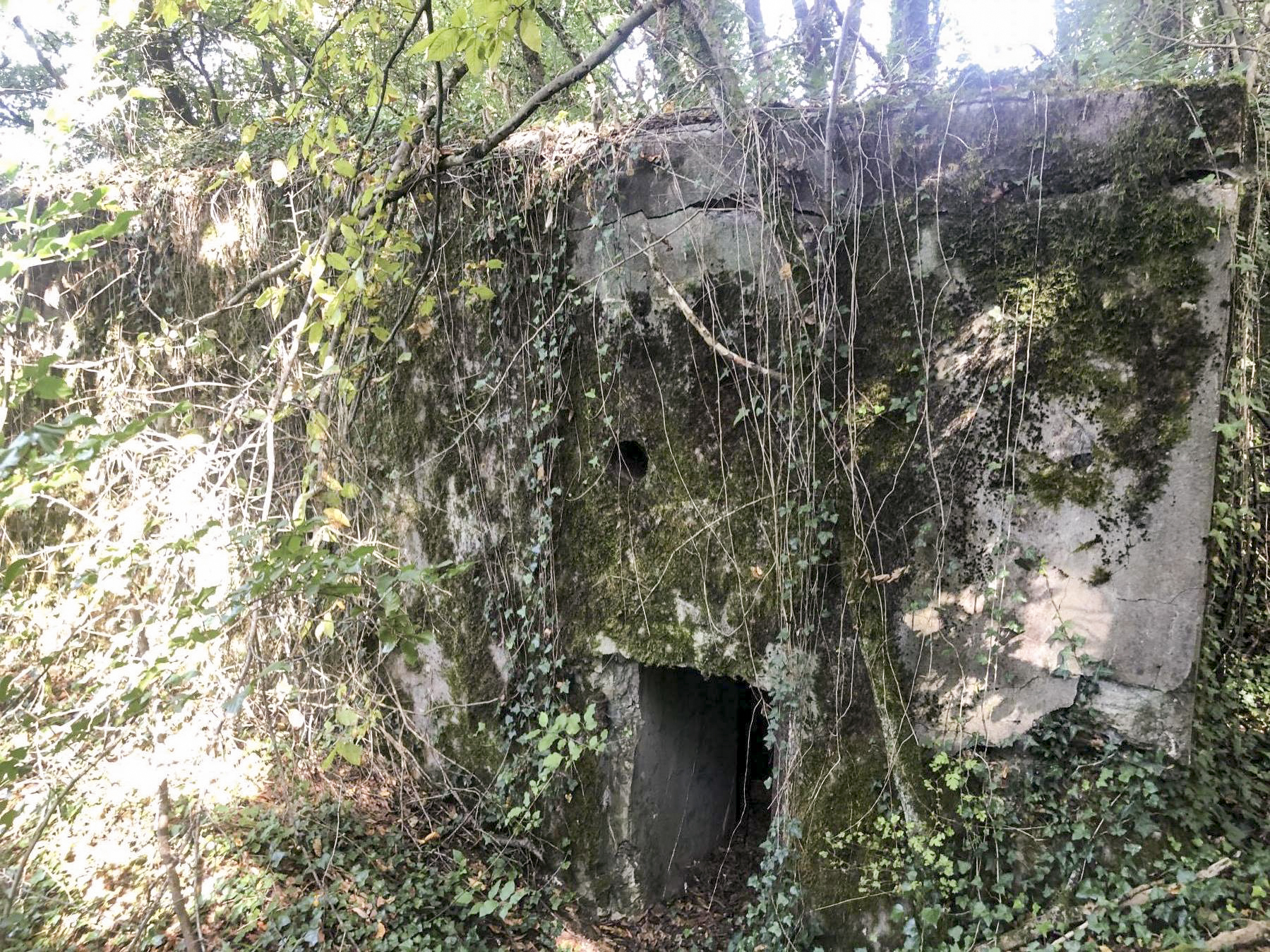 Ligne Maginot - CB114 - UBER DEM HUGEL - (Blockhaus pour canon) - Entrée du blockhaus - L.Zenner