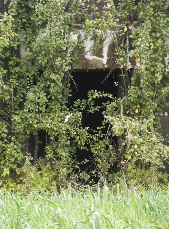 Ligne Maginot - CB130 - GRABER - (Blockhaus pour canon) -  - Jean-Louis AUBLET & Sylvie MAINGUIN