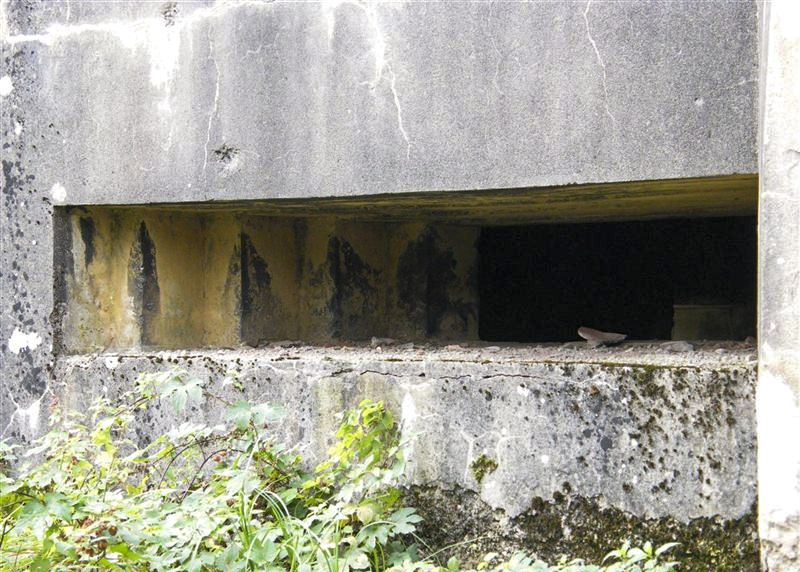 Ligne Maginot - CB131 - KOENIGSMACKER OUEST - (Blockhaus pour canon) -  - Jean-Louis AUBLET & Sylvie MAINGUIN