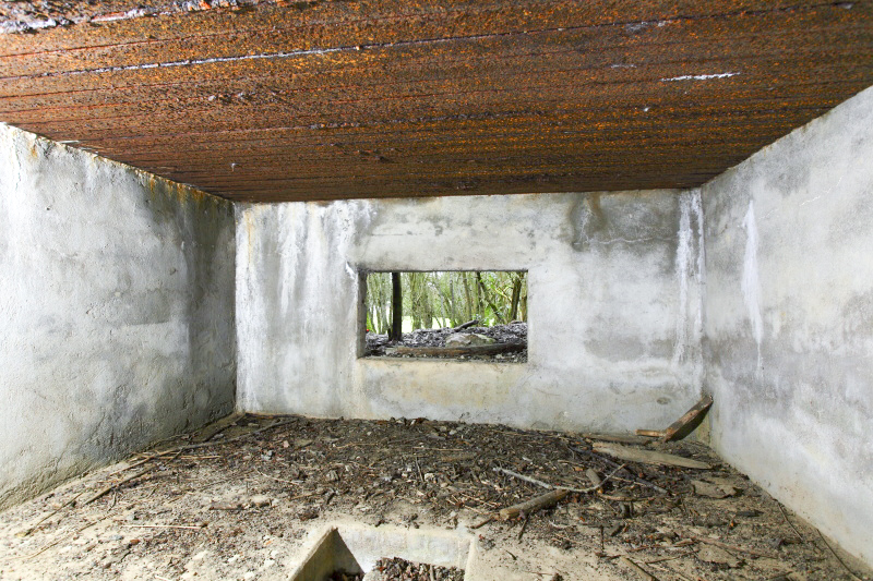 Ligne Maginot - CB132 - HIRTZWIESE - (Blockhaus pour canon) -  - www.arnaultjl-photo.com