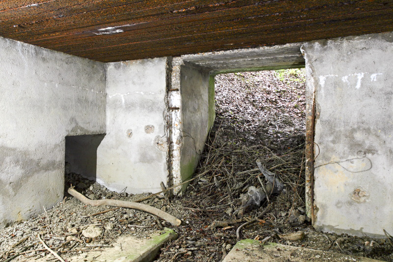 Ligne Maginot - CB132 - HIRTZWIESE - (Blockhaus pour canon) -  - www.arnaultjl-photo.com
