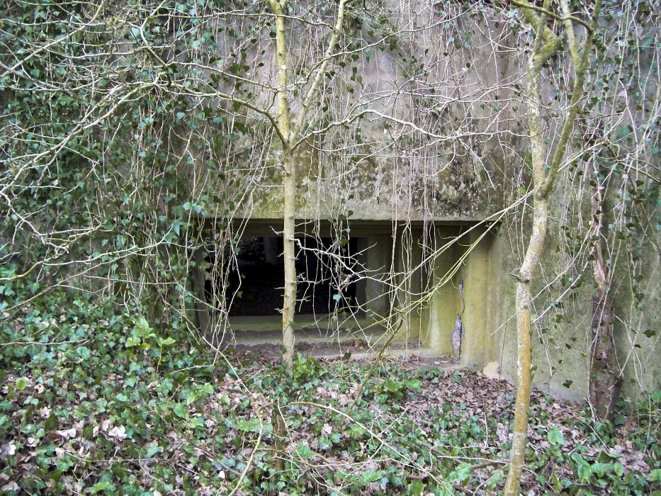 Ligne Maginot - CB133 - MEHWINKEL EST - (Blockhaus pour canon) -  - freddy57