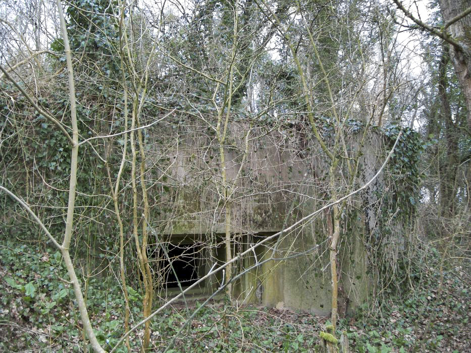 Ligne Maginot - CB133 - MEHWINKEL EST - (Blockhaus pour canon) -  - freddy57