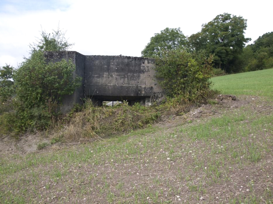Ligne Maginot - CB138 - NONNENBERG SUD - (Blockhaus pour canon) -  - BRIOT Fabrice
