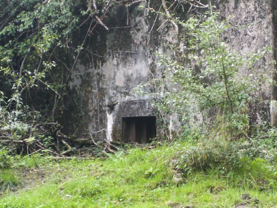 Ligne Maginot - CB139 - NONNENBERG NORD - (Blockhaus pour arme infanterie) -  - BRIOT Fabrice