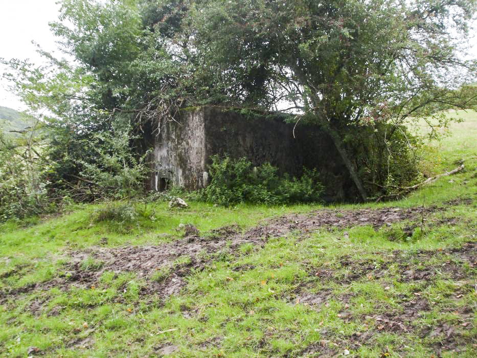 Ligne Maginot - CB139 - NONNENBERG NORD - (Blockhaus pour arme infanterie) -  - BRIOT Fabrice