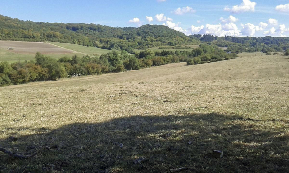 Ligne Maginot - CB152 - WEILER - (Blockhaus pour canon) - Vue du secteur de tir couvert par le bloc. - titi57