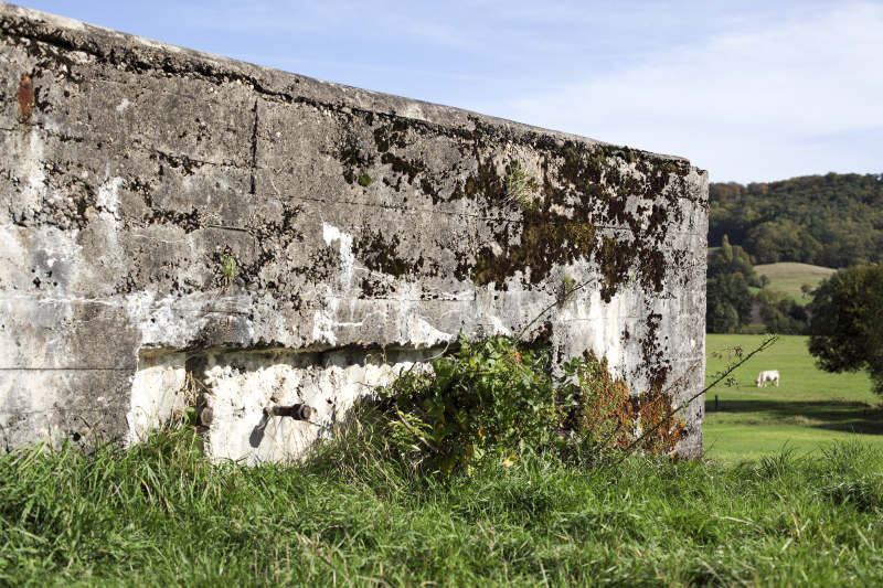 Ligne Maginot - CB156 - HOHDORN - (Blockhaus pour canon) -  - www.arnaultjl-photo.com