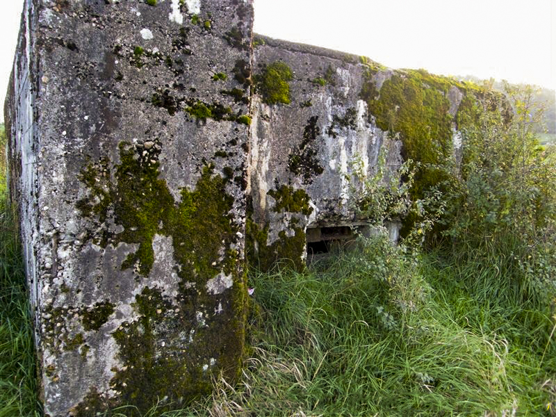 Ligne Maginot - CB156 - HOHDORN - (Blockhaus pour canon) -  - Jean-Louis AUBLET & Sylvie MAINGUIN